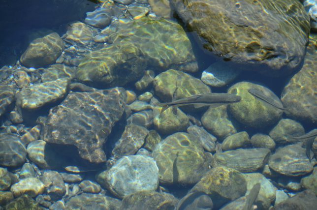 Crystal clear water