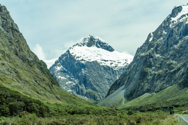 DSC_0603