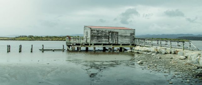 DSC_0983 2