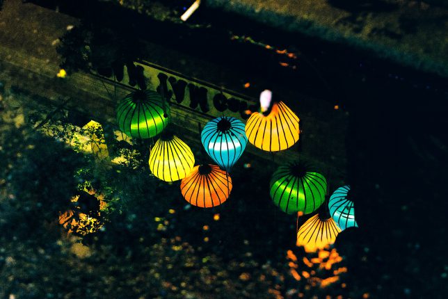 DSC_0242-Edit